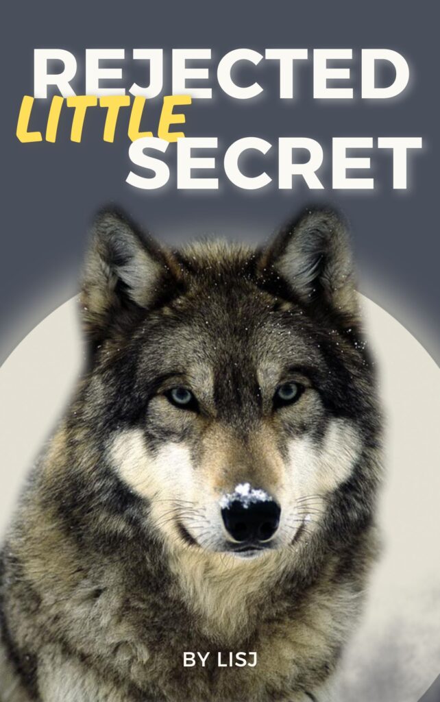 Rejected Little Secret Novel Book Cover